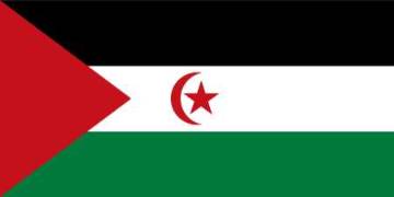 western-sahara-flag